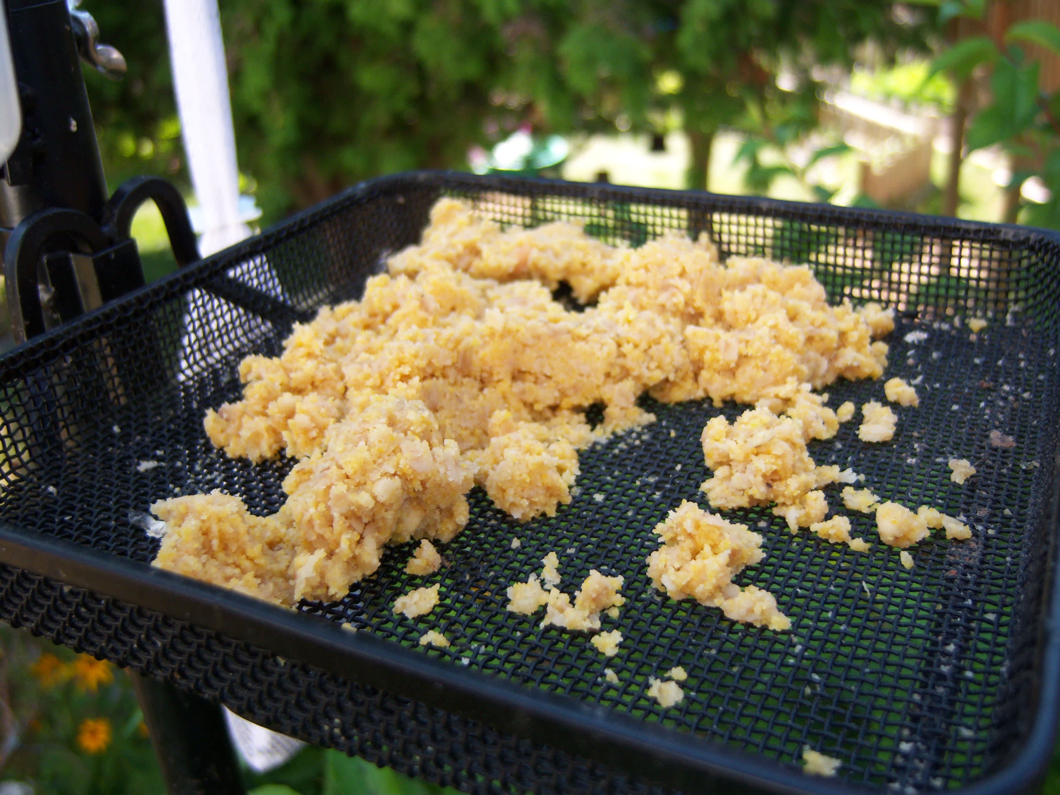 How to Make Suet for Birds Using Lard: Easy DIY Recipe Guide