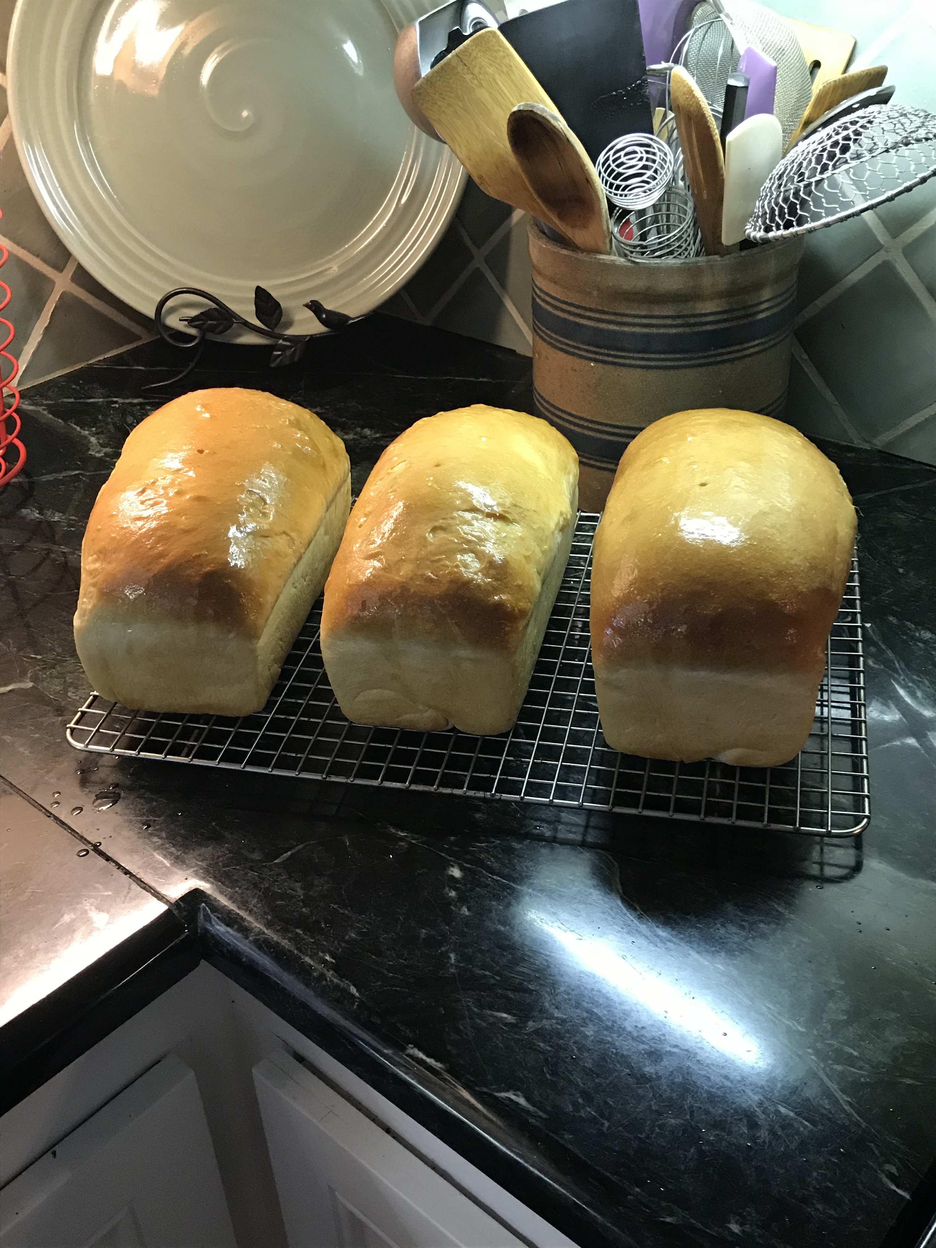 Basic Sourdough Bread Recipe - Food.com