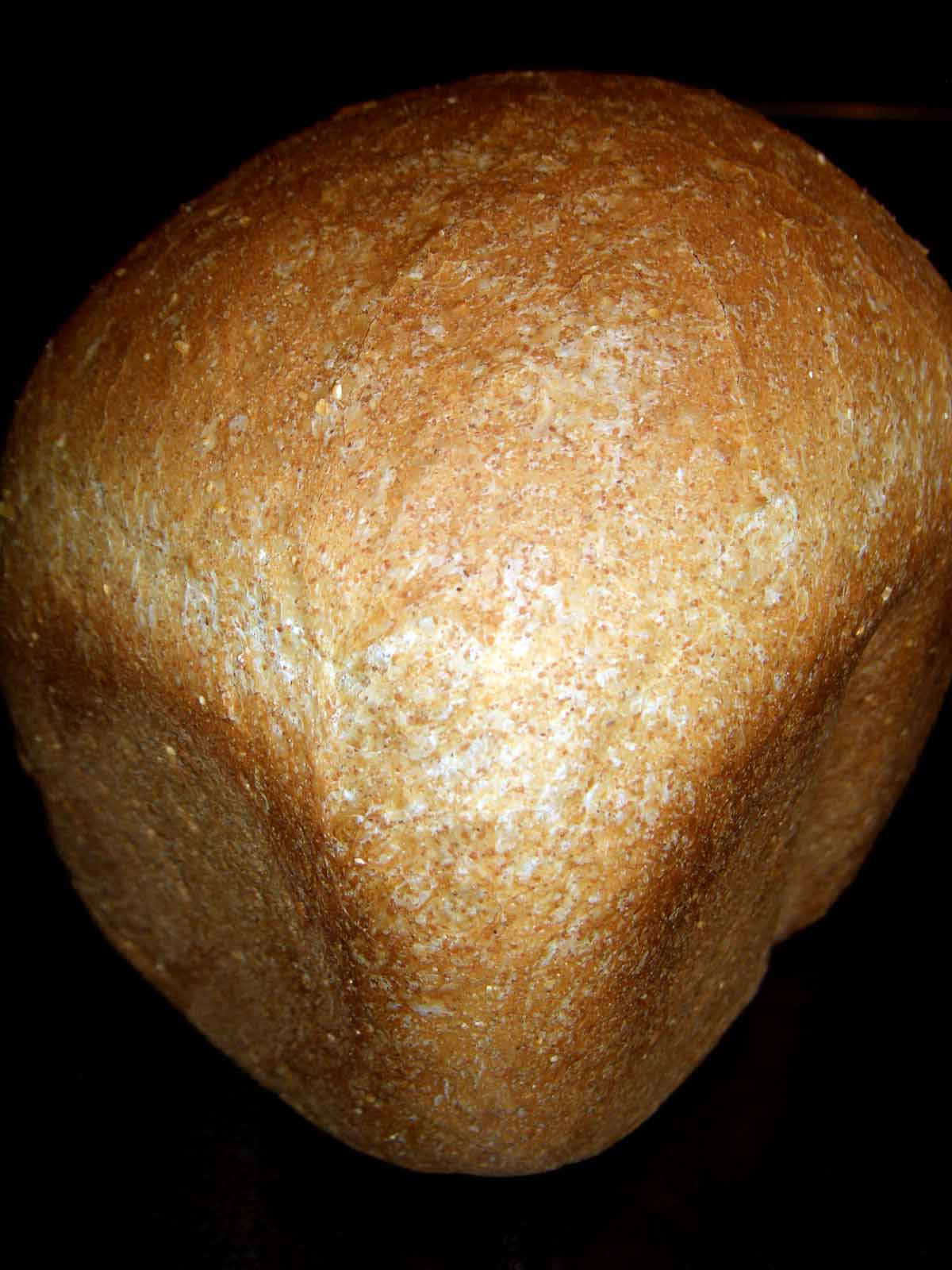 Pumpernickel-Prune Bread (Abm) Recipe - Food.com