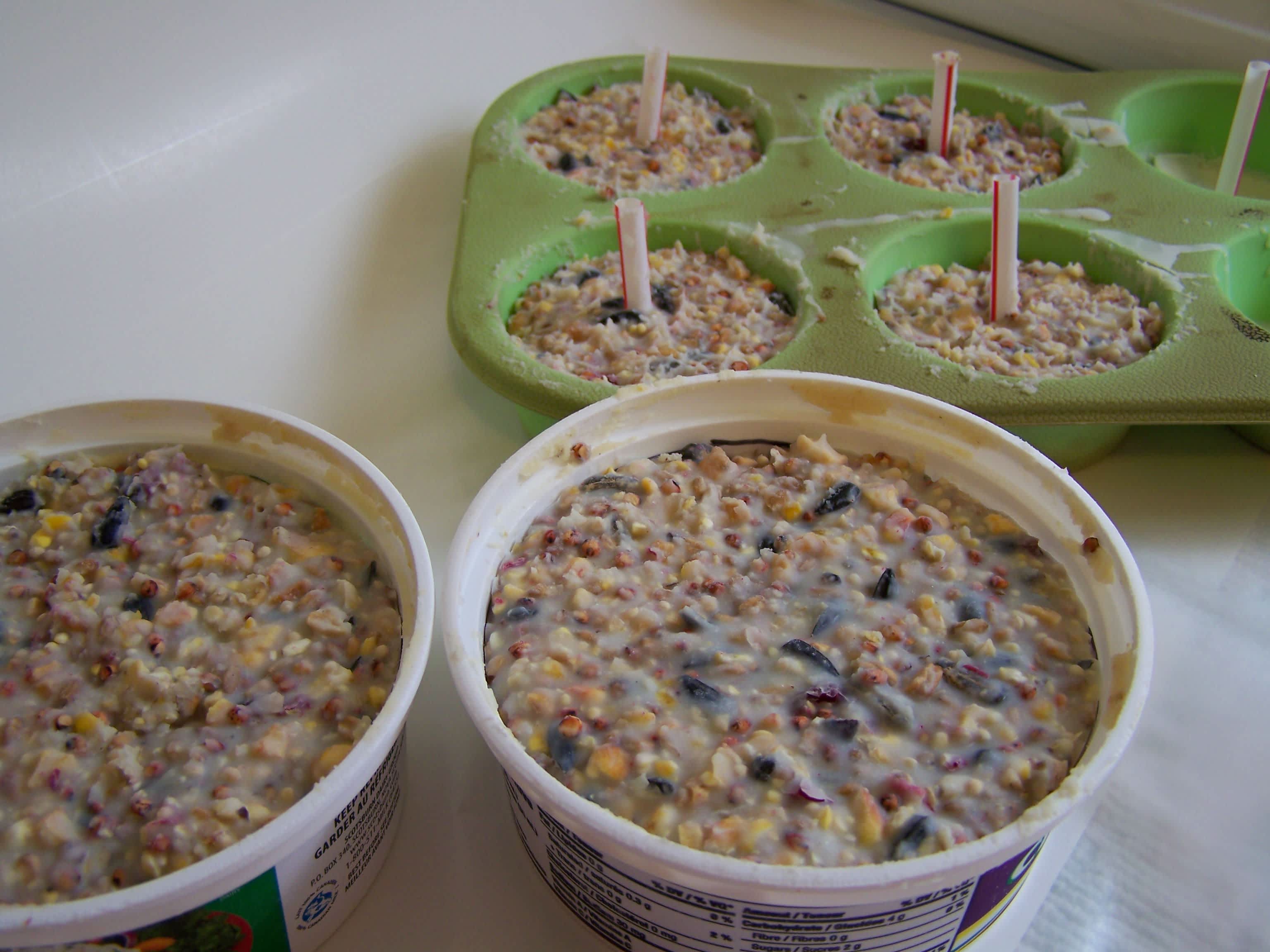 How to Make Bird Suet Balls: Easy, Nutritious Recipes for Wildlife