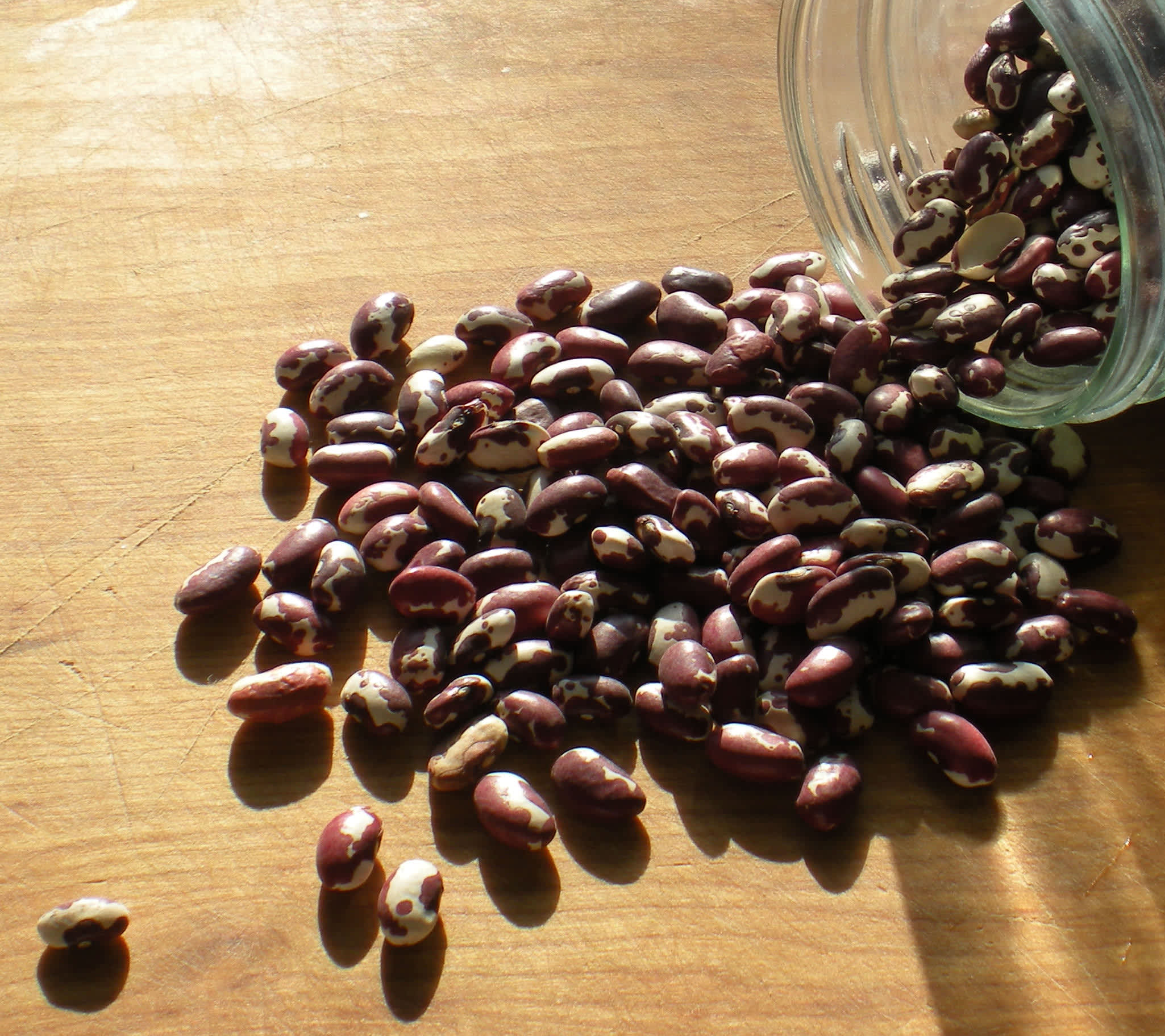 How to Make a Simple Pot of Anasazi Beans Recipe - Food.com