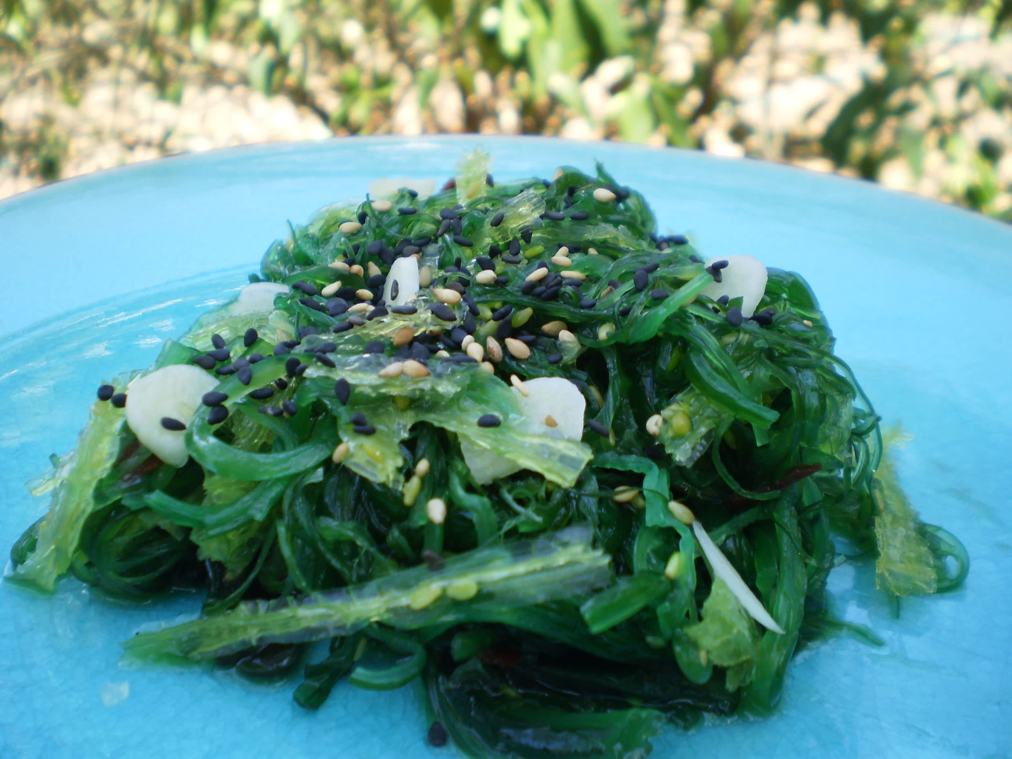 This image showcases a vibrant and appetizing salad served on a light turquoise plate. The salad is predominantly composed of a generous mound of bright green seaweed, appearing to be marinated or dressed in a flavorful sauce, giving it a slightly glistening texture. Interspersed throughout the seaweed are slices of pale, almost translucent, pickled ginger, adding pops of lighter color and a contrasting texture. The dish is beautifully garnished with a scattering of both black and golden sesame seeds, providing visual interest and a nutty aroma. The sesame seeds are distributed unevenly, creating a natural and appealing look. The plate itself has a subtle textured surface, enhancing the overall presentation. The background is softly blurred, revealing hints of greenery – likely foliage from plants – suggesting the photo was taken outdoors, possibly in a garden or on a patio. The lighting is natural and bright, highlighting the freshness of the ingredients. The overall composition is close-up, focusing attention on the salad’s textures and colors, making it look incredibly fresh and inviting. It appears to be a Japanese-inspired seaweed salad, a healthy and flavorful dish.