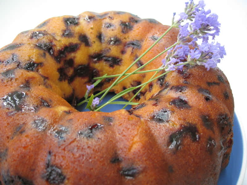 Wild Blueberry Cake Recipe - Food.com