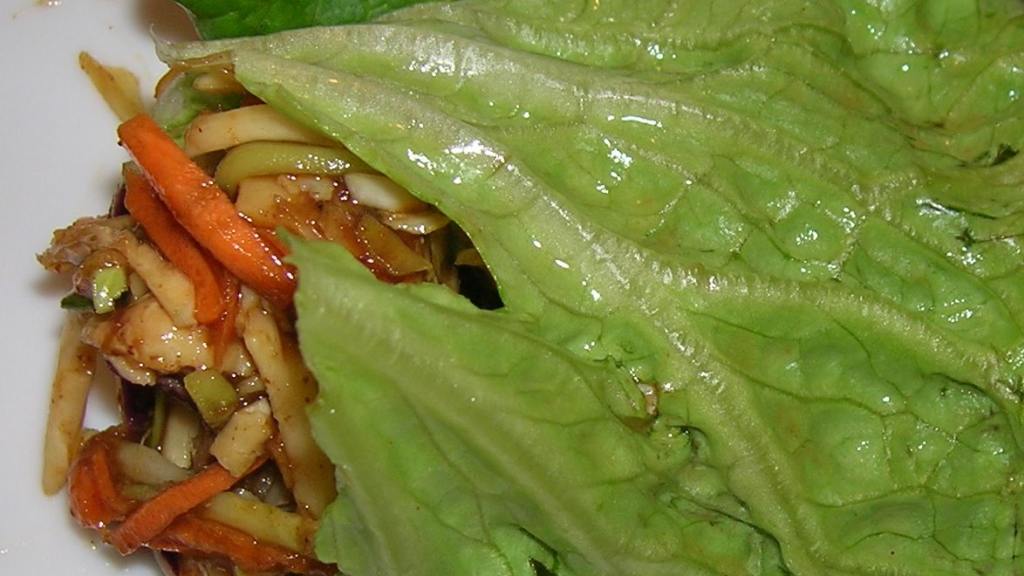 Hoisin Chicken Lettuce Wraps created by morgainegeiser