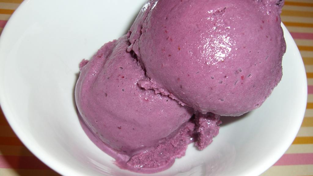 Berry Berry Frozen Yogurt (Healthy; for Ice Cream Machine) Recipe ...