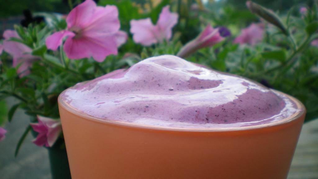 Breakfast Whey Protein Smoothie Recipe
