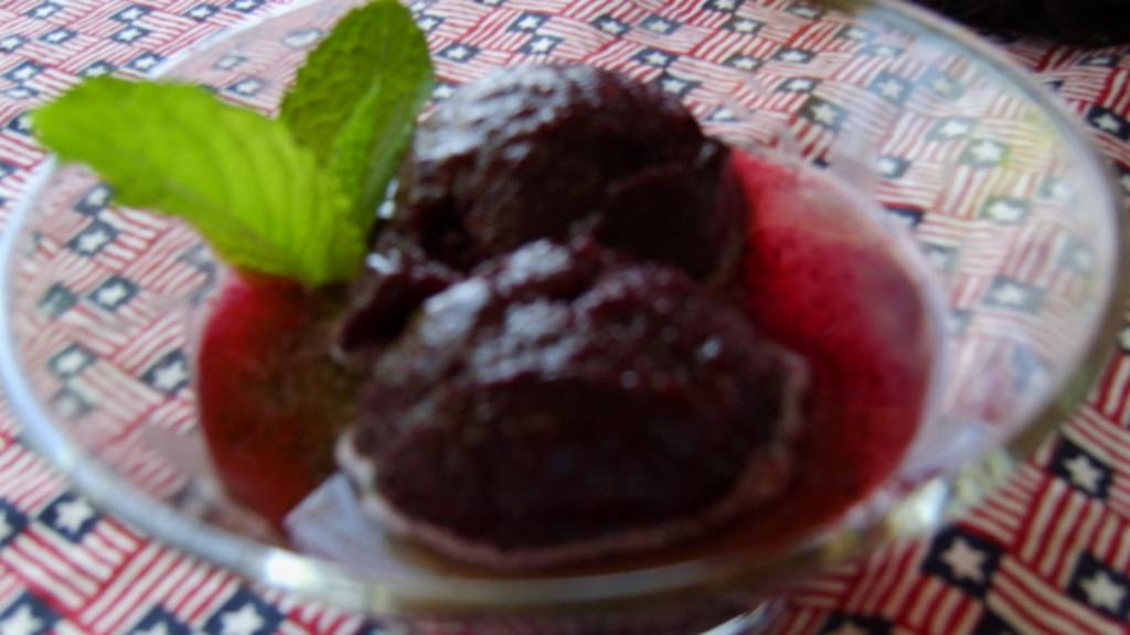 Blueberry Sorbet With Lemon and Tarragon Jus Recipe