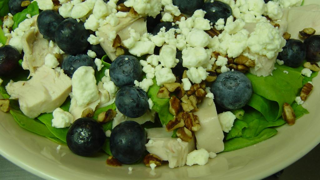 Blueberry Spinach Salad With Chicken, Pecans and Bleu Cheese created by Michelle Berteig