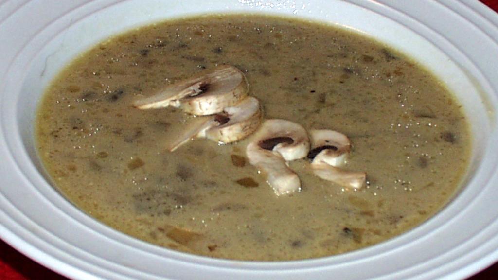 Coconut Cream Mushroom Soup in Da' Crock Pot created by twissis