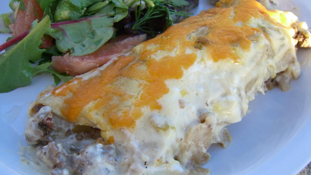 Sour Cream Beef Enchiladas Recipe - Food.com