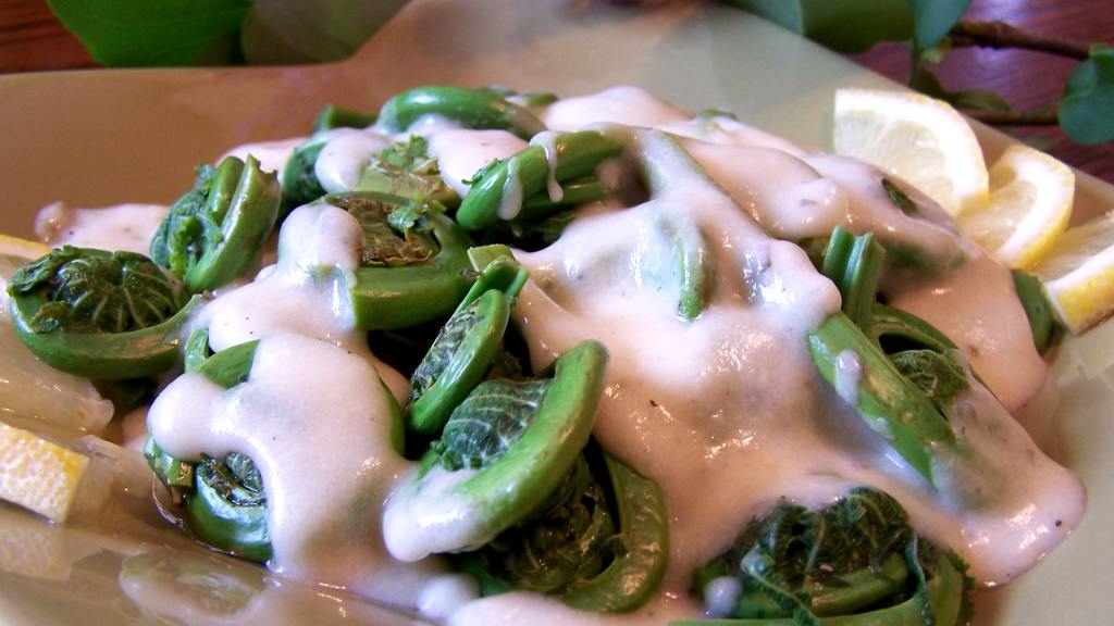 Creamy Dijon Sauce Fat Free and Tasty Recipe - Food.com
