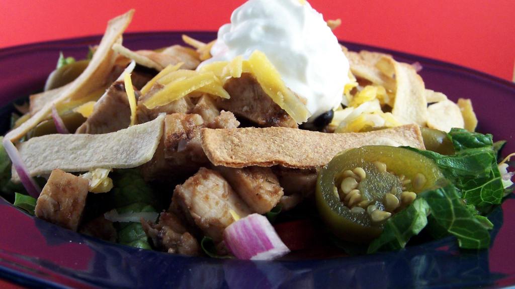 Low-Fat Chicken Tostada Salad created by PaulaG