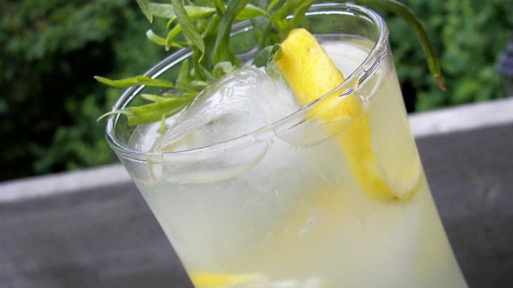 Tarragon Lemonade Recipe