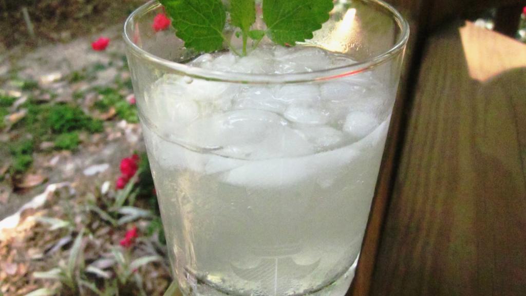 Lemon Balm Mojitos created by gailanng