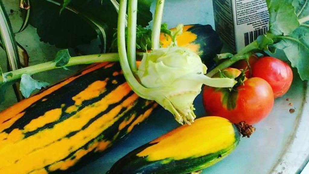 Golden Zucchini Recipe