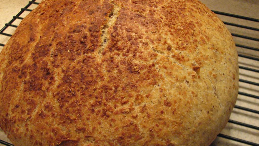 No Knead Sourdough Flax Seed Bread Recipe