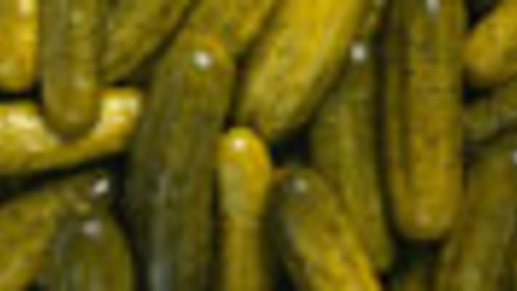 Deli Pickles Half Sours Recipe