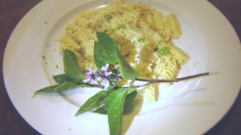 Marcella Hazan's "pasta Al Limone" Recipe