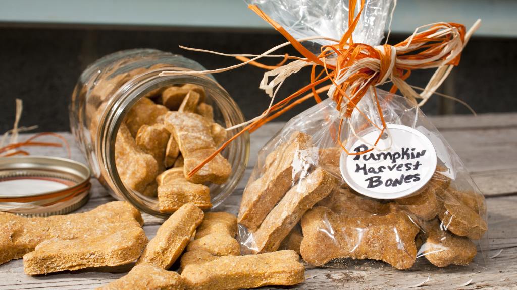 Image showcasing Pumpkin Dog Biscuits Recipe - Food.com