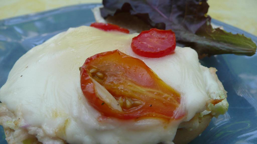 Mozzarella Tuna Melts Recipe