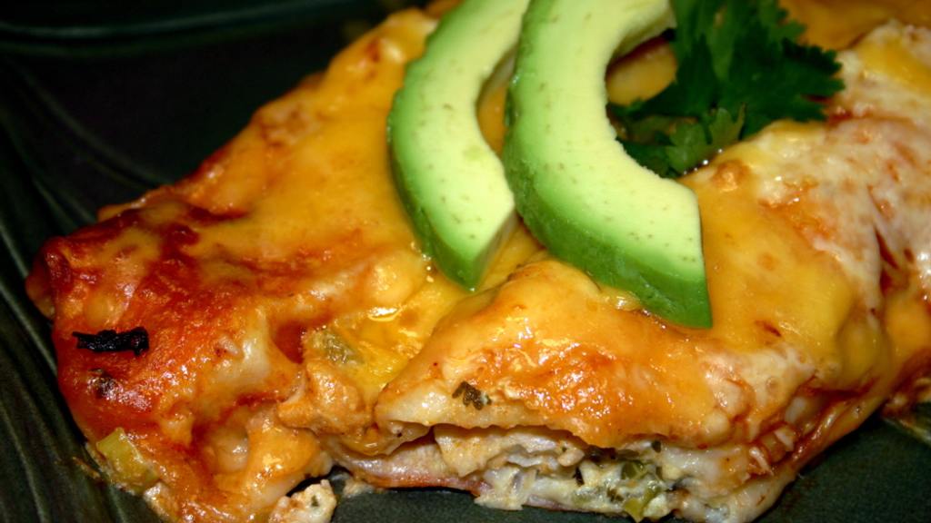 Savory Halibut Enchiladas Recipe