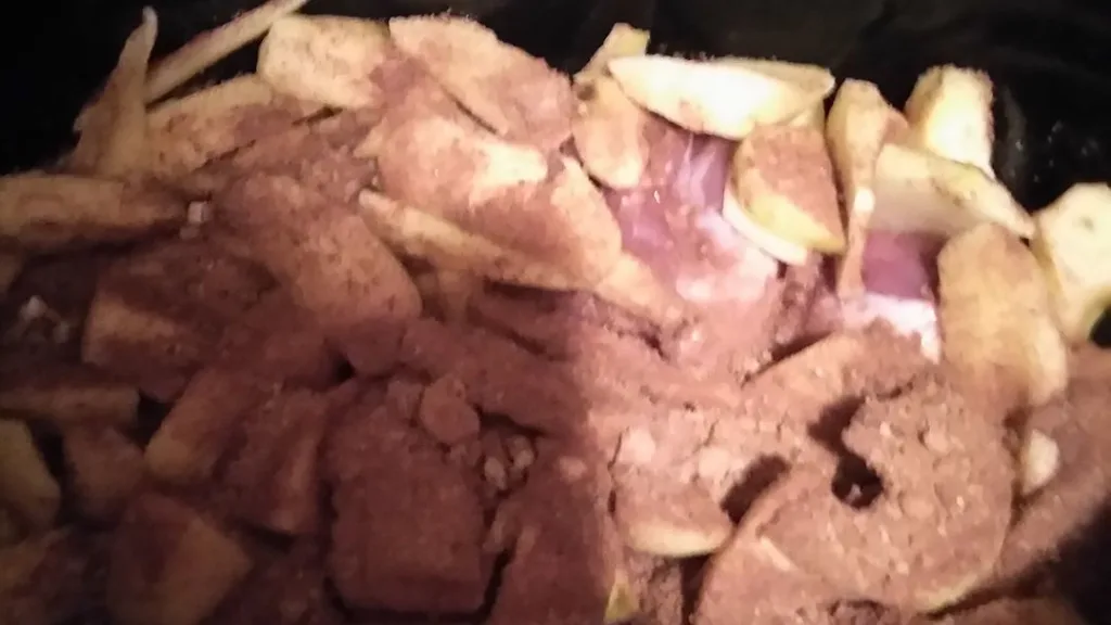 how to cook pre seasoned pork loin in crock pot