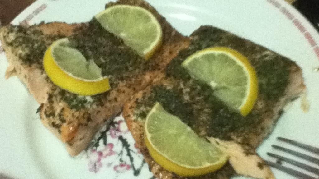 Oven Baked Salmon Recipe - Food.com