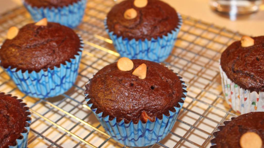 Low Fat Mocha Chocolate Chip Muffins created by floobish