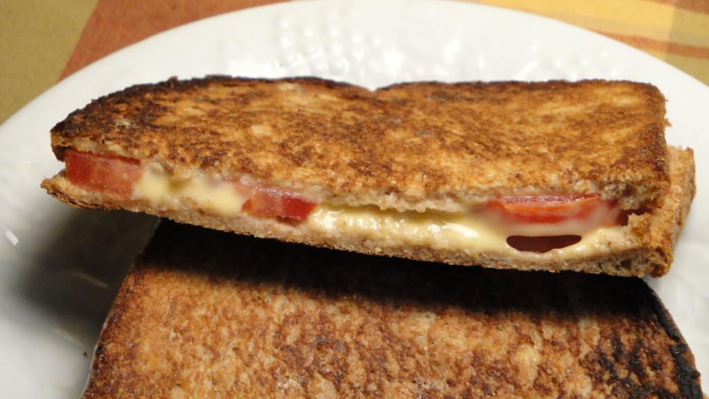 Grilled Cheese & Tomato Panini created by Debbwl