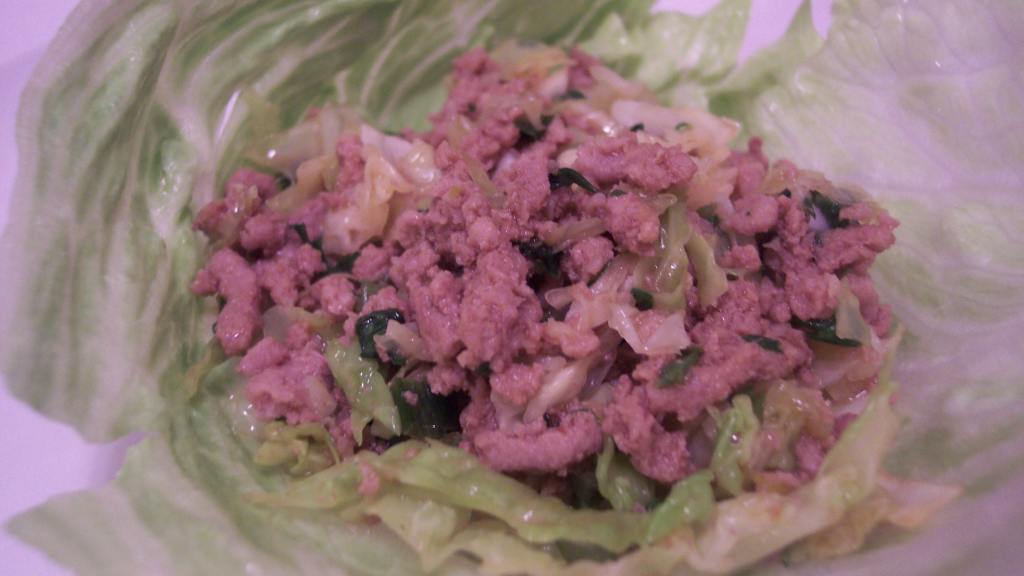 Spicy Asian Ground Turkey With Cabbage created by jrusk