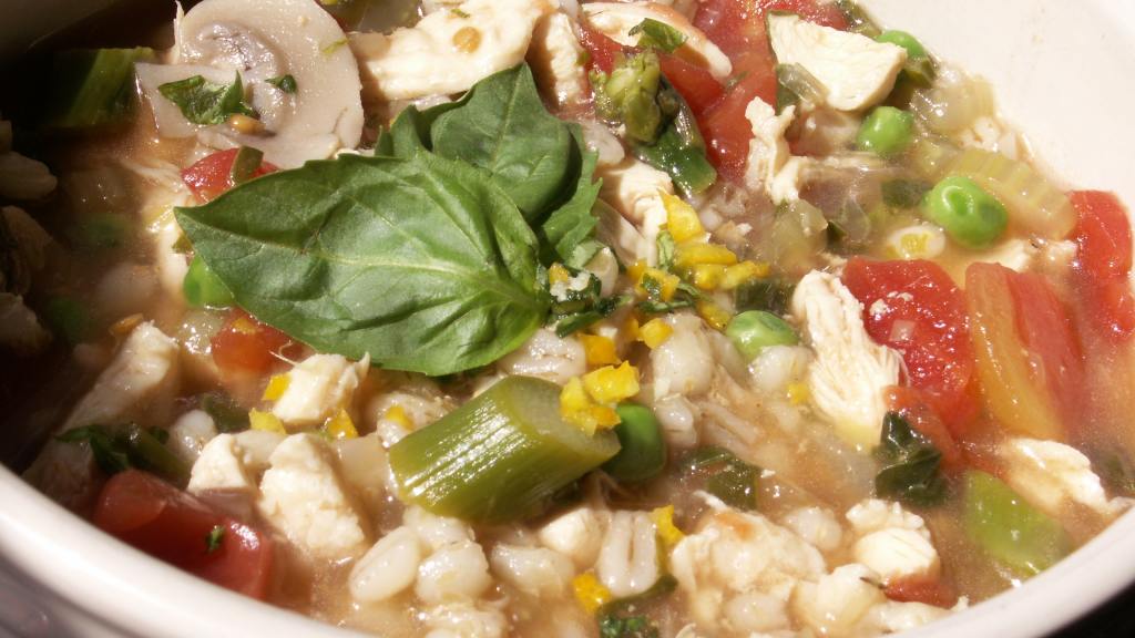 Spring Chicken & Barley Soup Recipe - Food.com