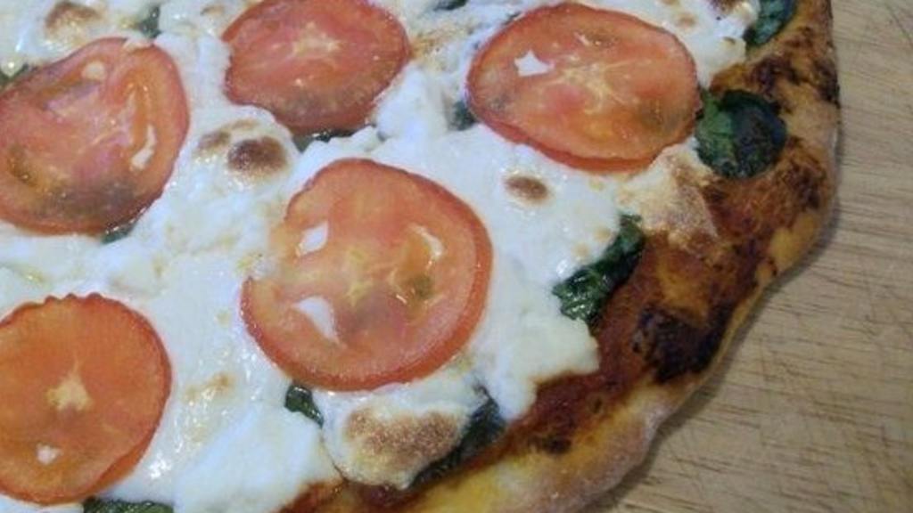 New York-Style Pizza Dough Recipe - Food.com