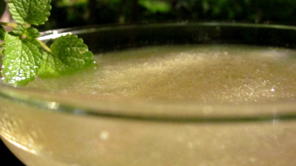 Agave Nectar Margarita Recipe