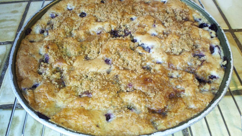 Low Fat Blueberry Coffee Cake Recipe - Food.com