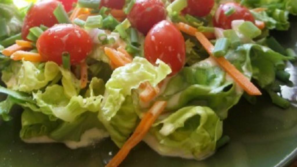 Boston Lettuce Salad With Creamy Orange Shallot Dressing created by lauralie41