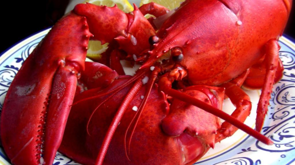 How to Steam a Lobster Recipe