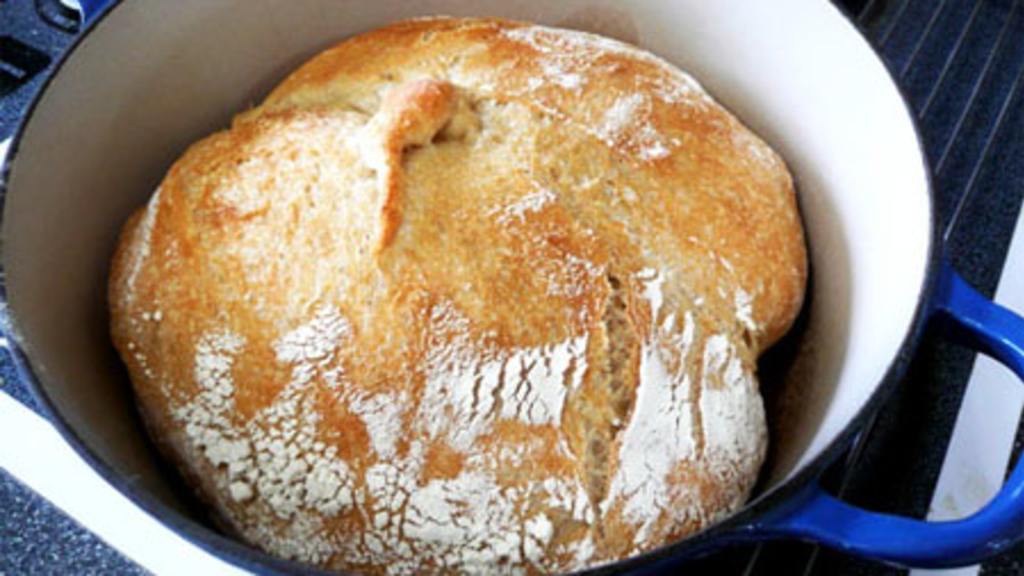 Harrys Whole Grain No Knead Dutch Oven Bread Recipe   Foodcom