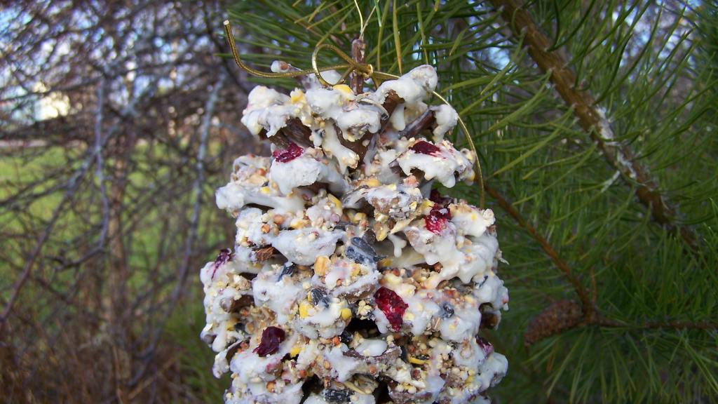 Rendering Beef Fat for Suet Cakes and Cones (Bird Food) Recipe