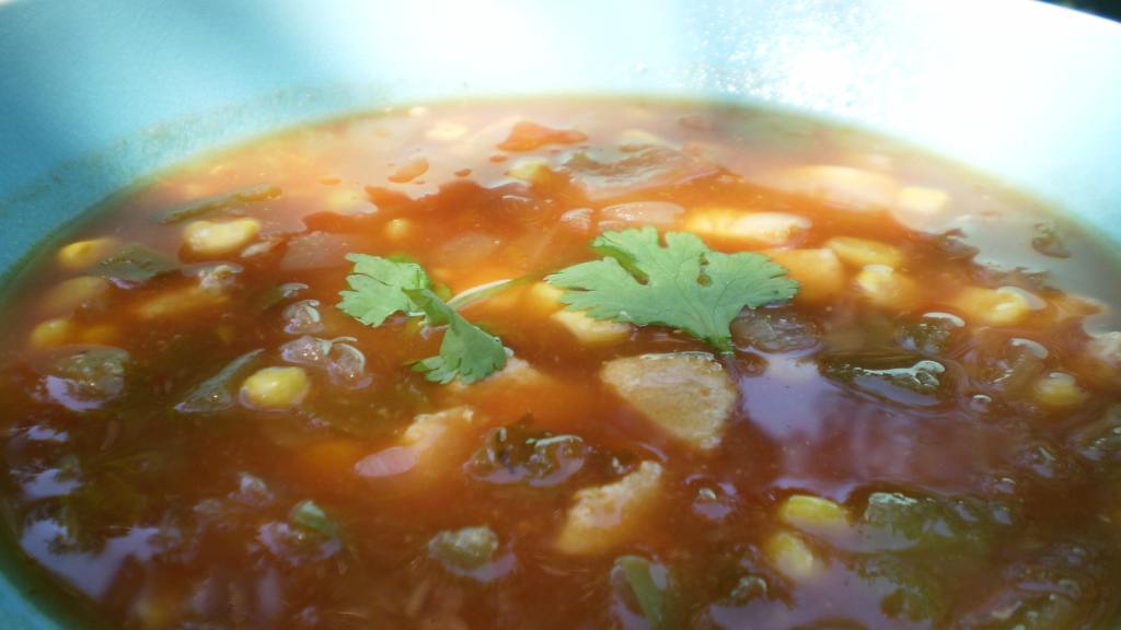 Ww Chicken Tortilla Soup Without the Tortillas Recipe