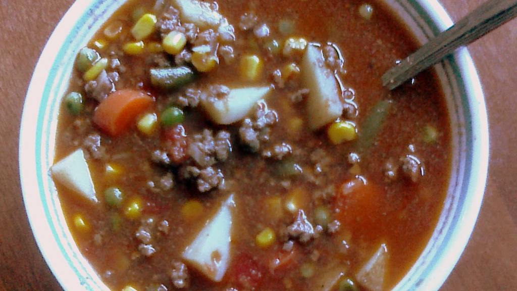 Zippy Hamburger Soup Recipe