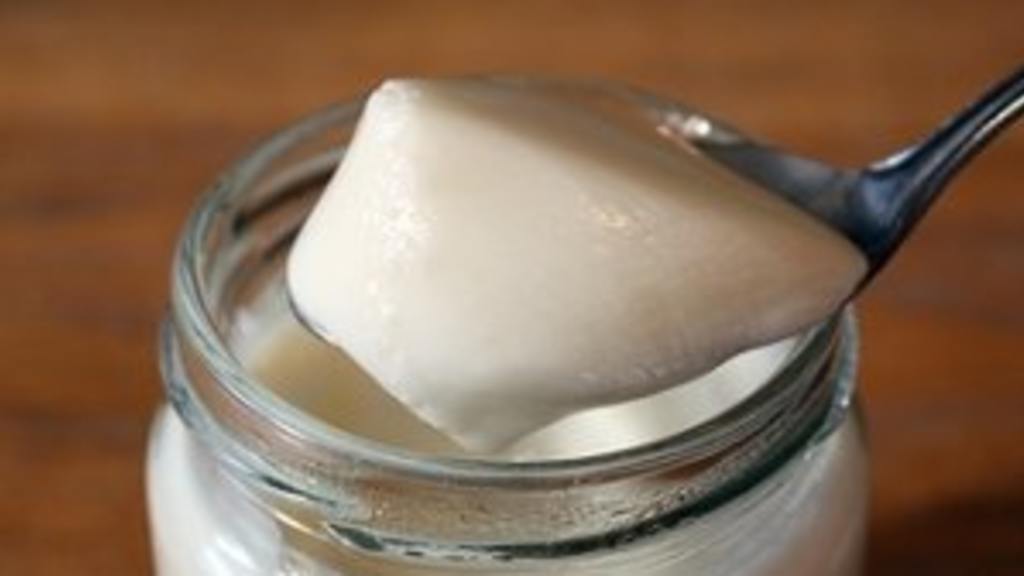 Making a Bulgarian/ Greek Style Yogurt Recipe