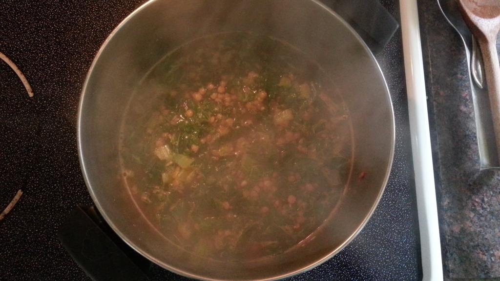 Attempting to Duplicate Progresso Lentil Soup