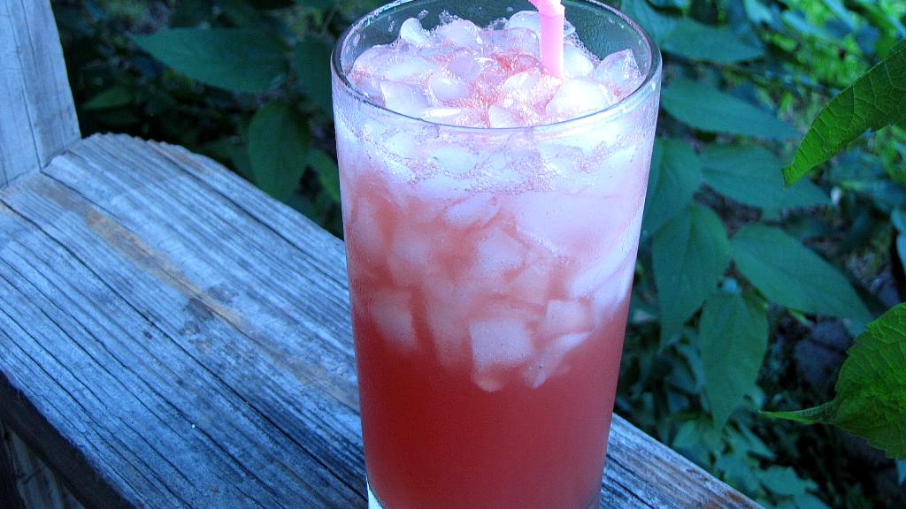Watermelon Gin Fizz Recipe