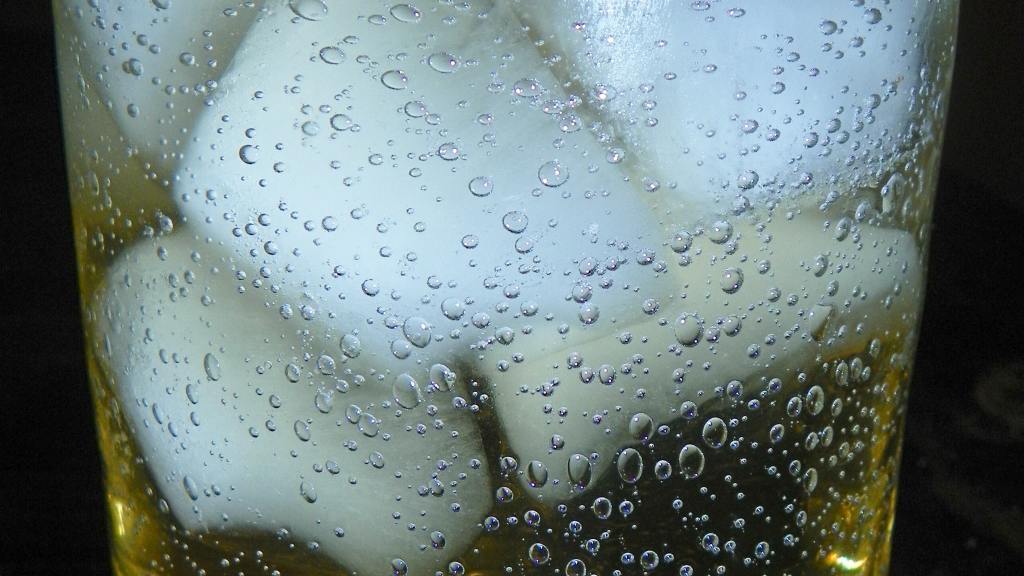 Mint Tarragon Tea Recipe