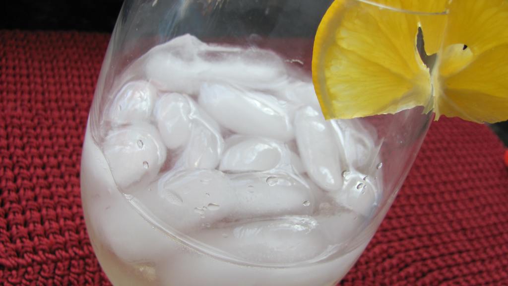 St. Germain Gin and Tonic Recipe