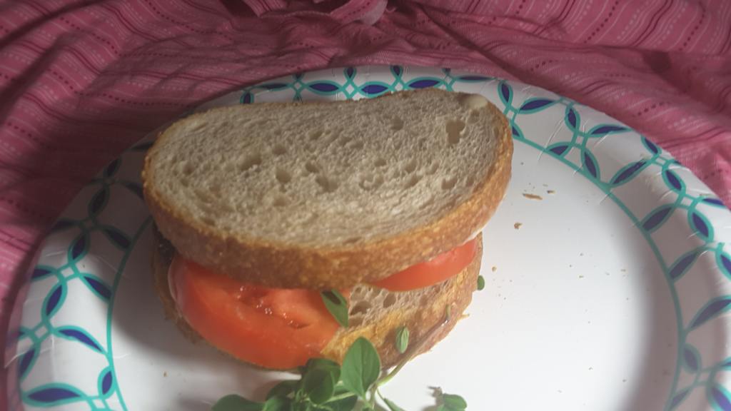 Eggplant Hummus Sandwich Recipe
