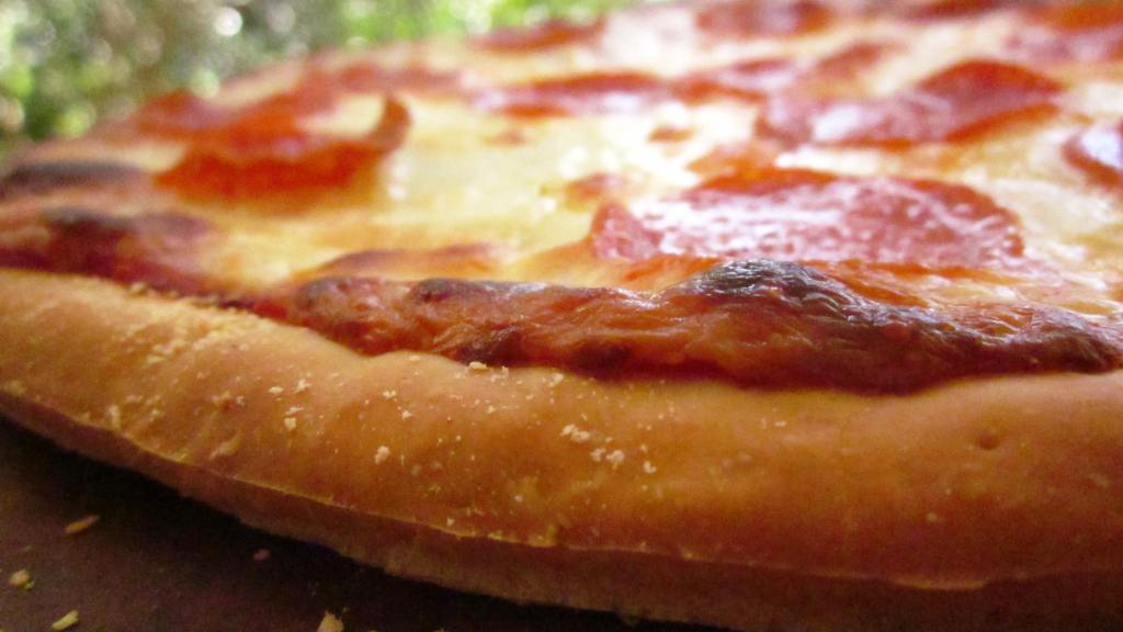 New York Style Pizza Dough Recipe - Food.com