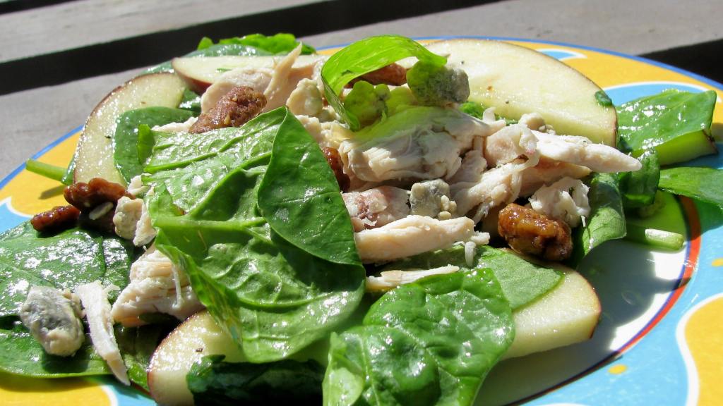 Apple, Chicken and Stilton Salad created by lazyme