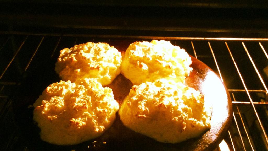 "hamburger" Buns (Zero Carb!) Recipe