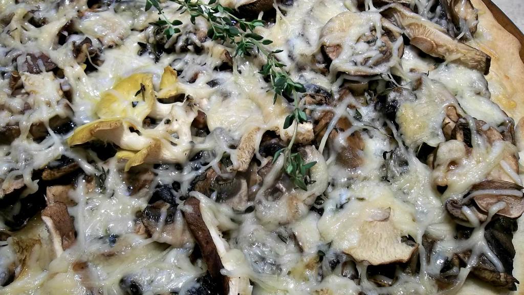 Wild Mushroom Pizza With Truffle Oil created by FLKeysJen